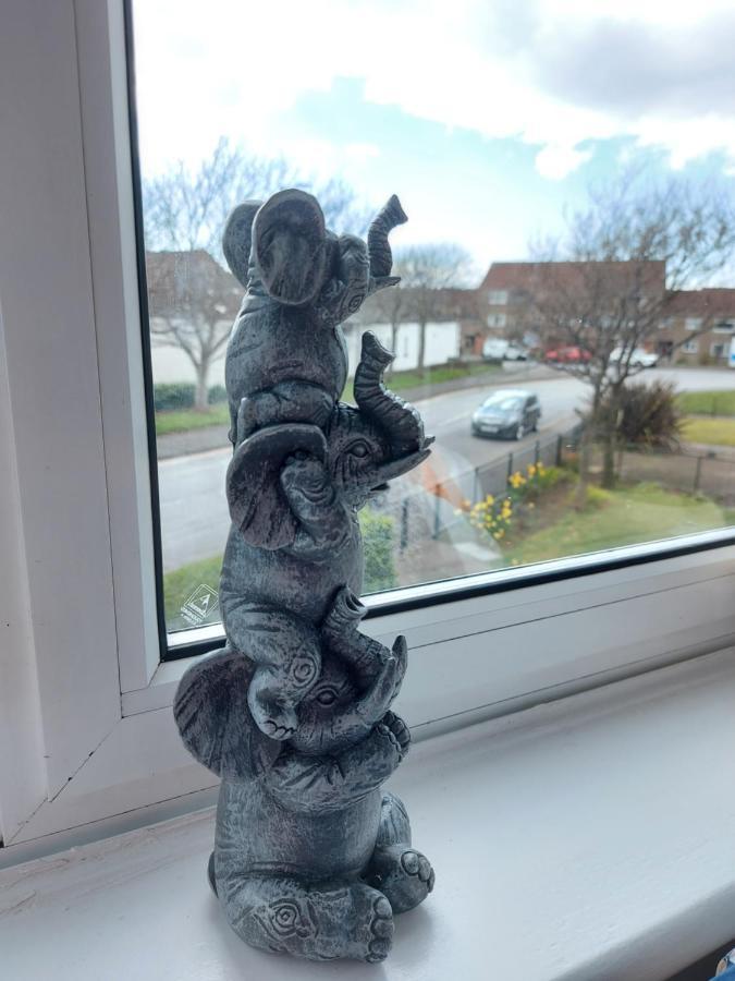 Teddy Bears' 3-Bedroom Maisonette Saltcoats Eksteriør billede